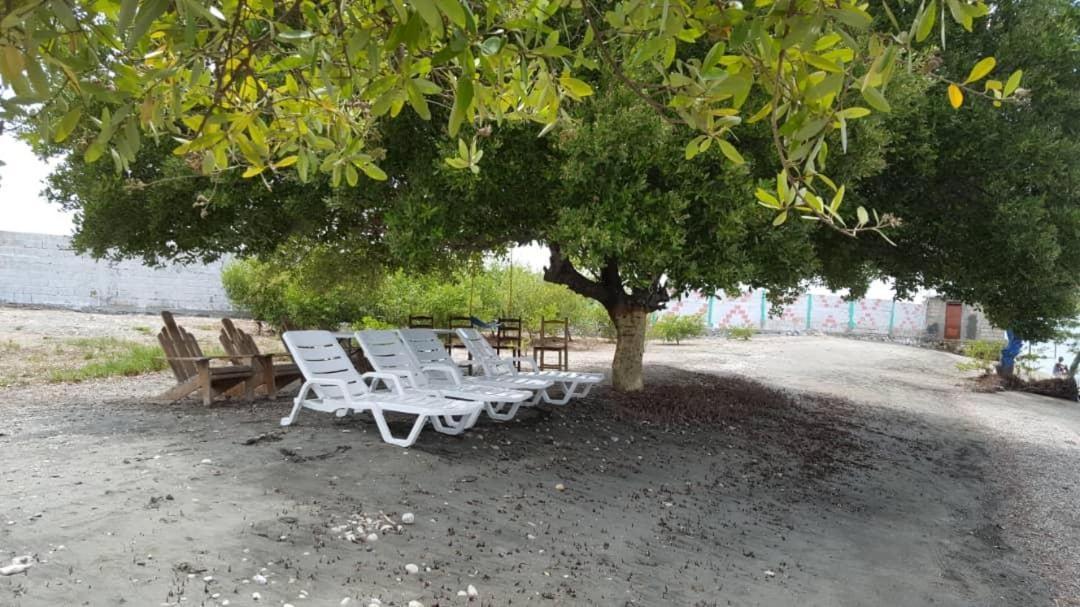 Evasion Beach Hotel Gressier Екстериор снимка